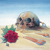 grateful dead skull with rose in the desert sand by stanley mouse